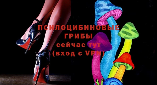 ешки Алзамай