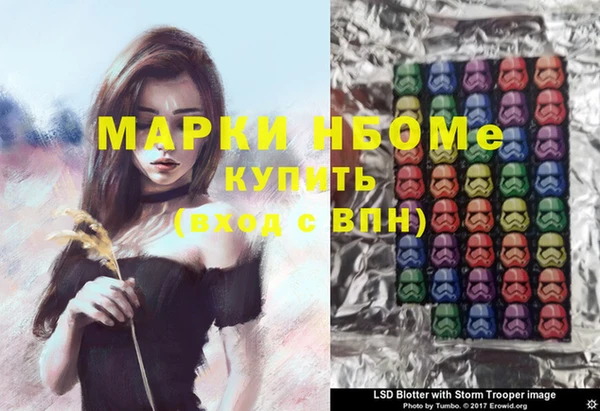 прущие грибы Кодинск