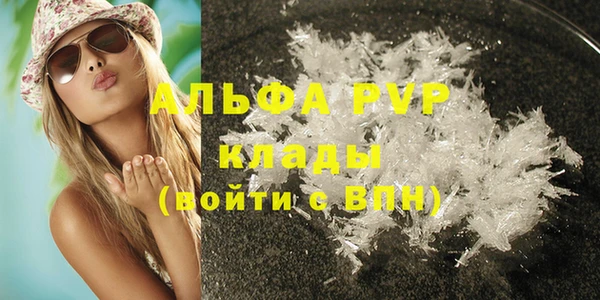 молекула духа Козельск