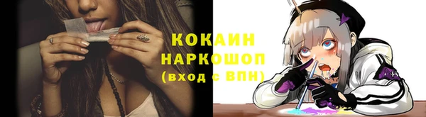 молекула духа Козельск
