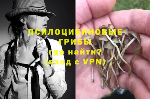 молекула духа Козельск