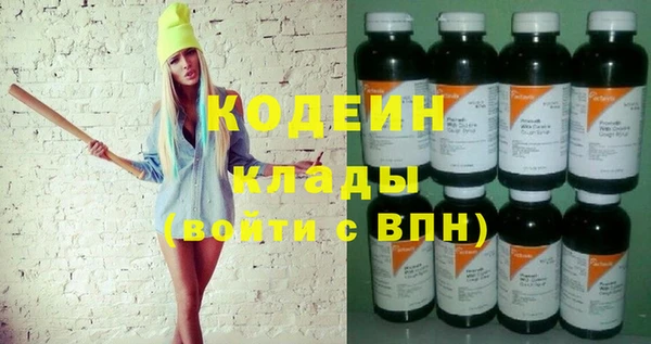 молекула духа Козельск