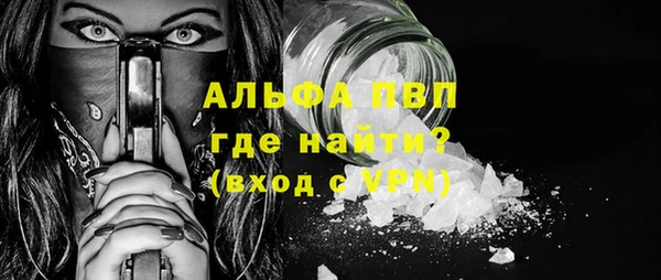 молекула духа Козельск