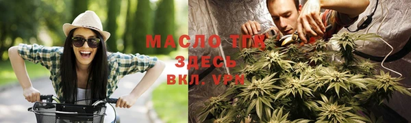 молекула духа Козельск