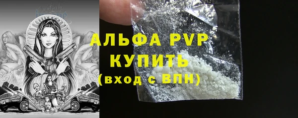 прущие грибы Кодинск